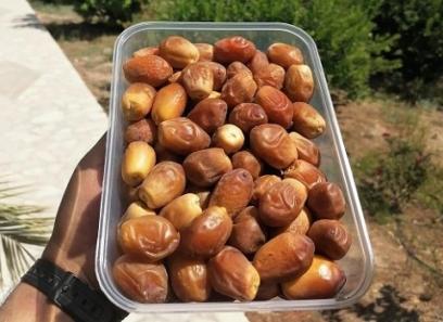 تصویر 2 از قیمت خرید خرما زاهدی عسلی + فروش ویژه
